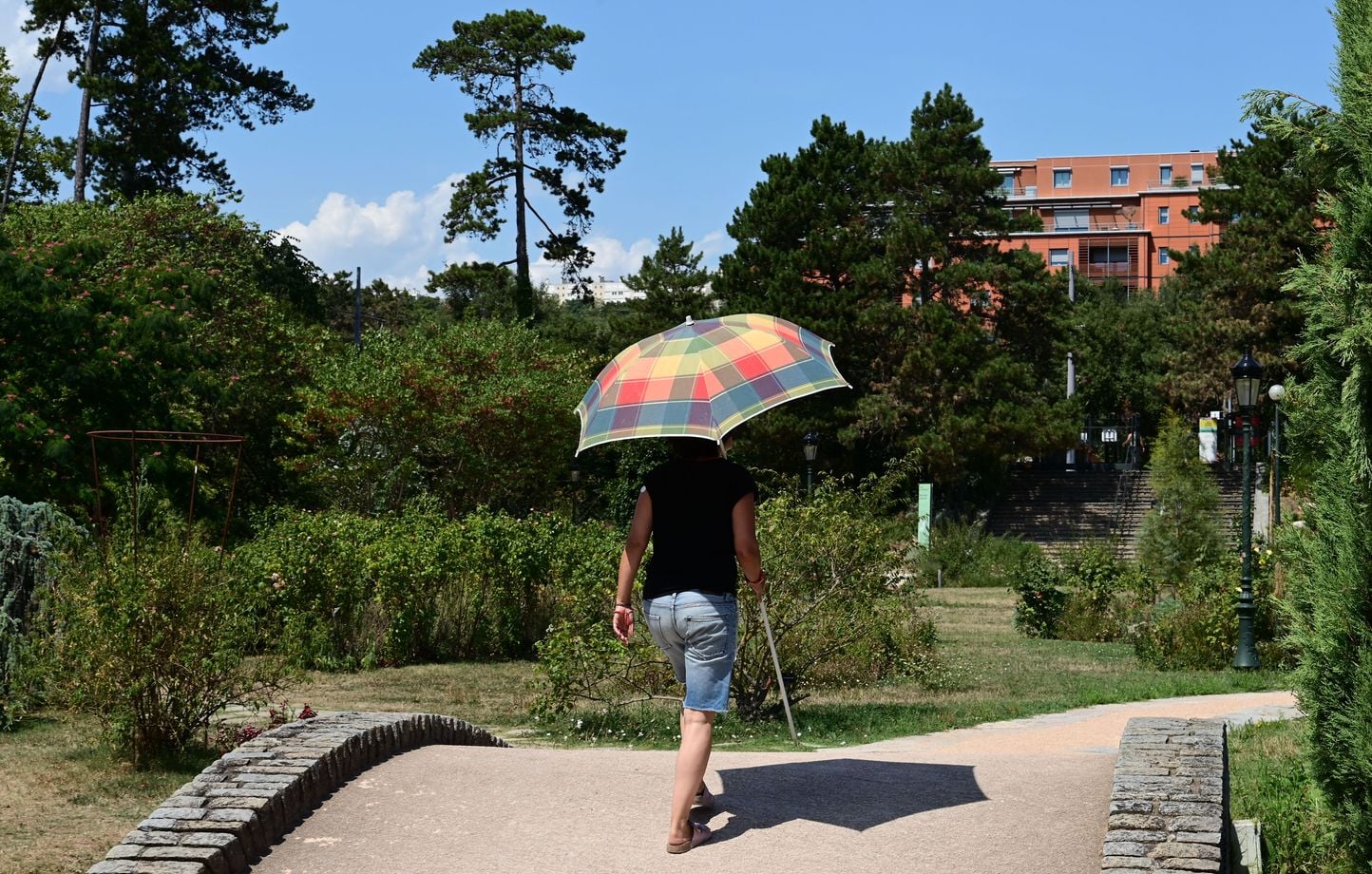 Canicule et restrictions sur l'eau potable touchent presque toute la France