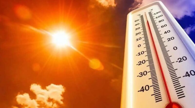 Canicule : le ministère de l’Agriculture appelle à la prudence face à 48°C