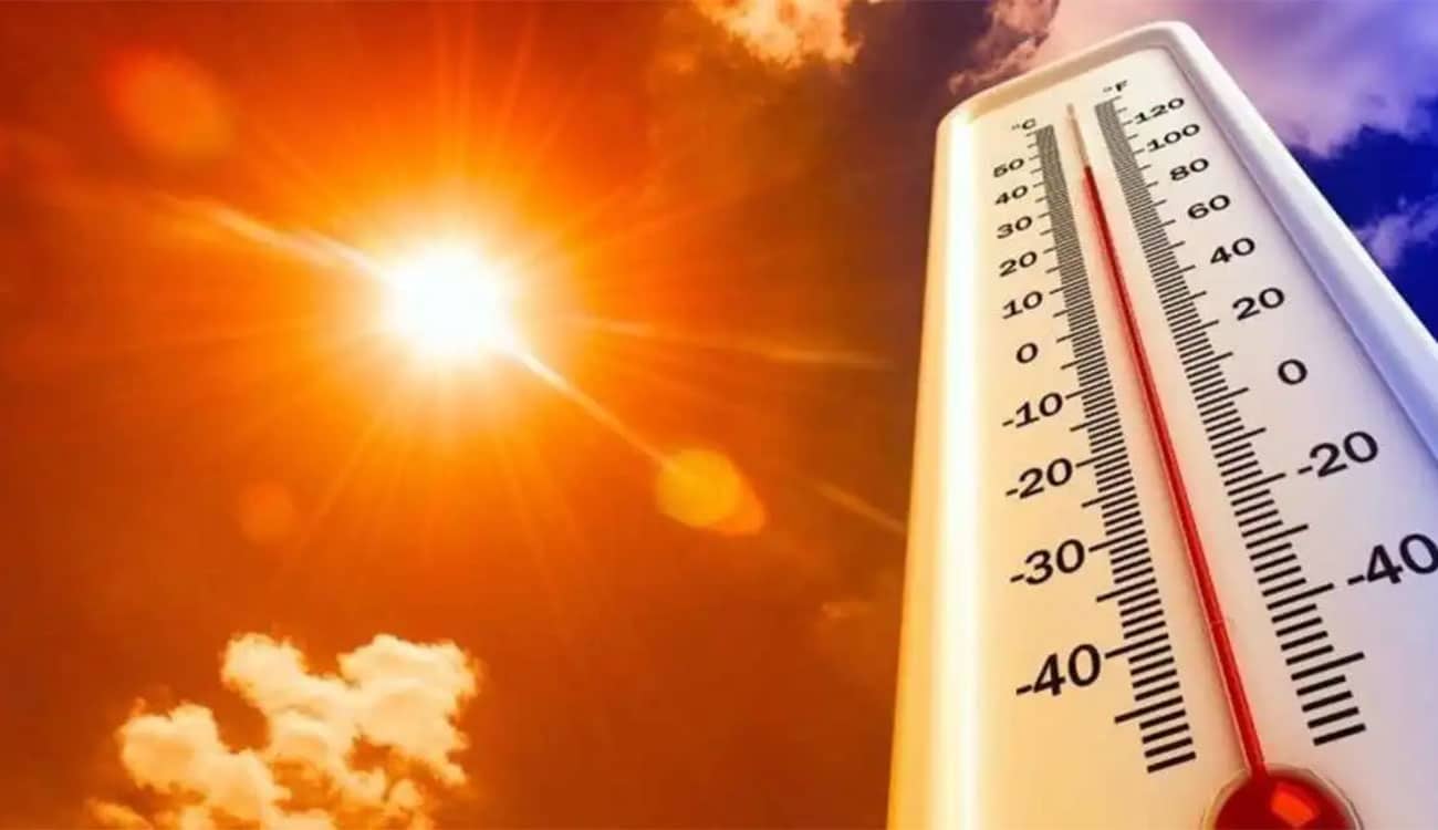 Canicule : le ministère de l’Agriculture appelle à la prudence face à 48°C