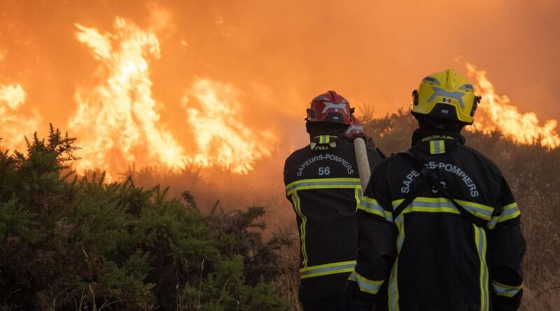 Canicule : L'extrême droite attaque les Verts face au dérèglement climatique