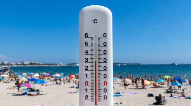 Canicule : Quelles prévisions pour la cinquième vague de chaleur ?