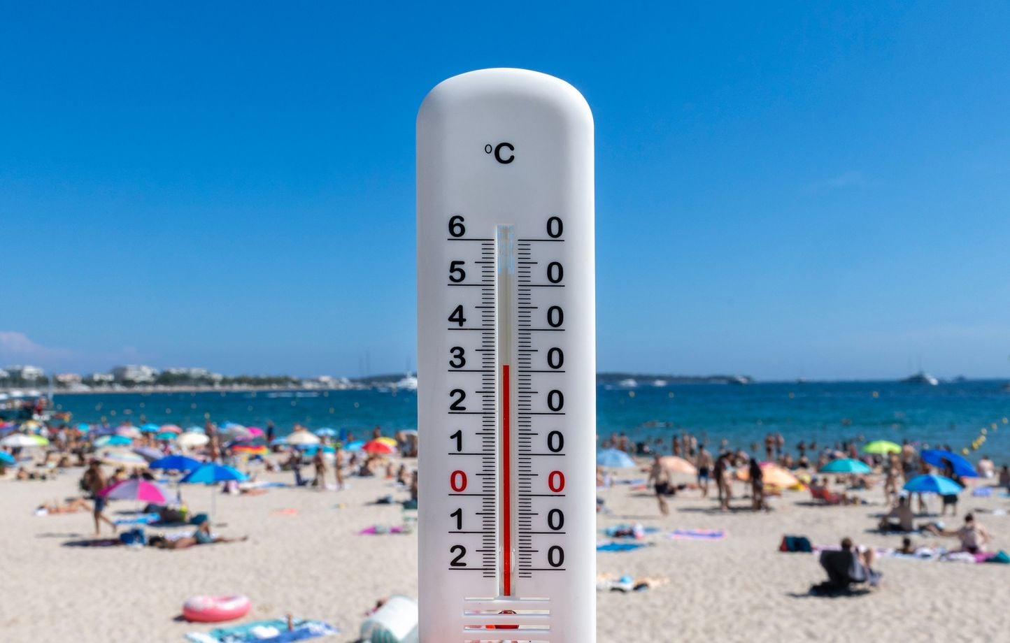 Canicule : Quelles prévisions pour la cinquième vague de chaleur ?