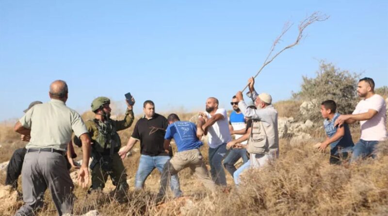 Cisjordanie – OCHA : Plus de 3.000 attaques de colons contre Palestiniens