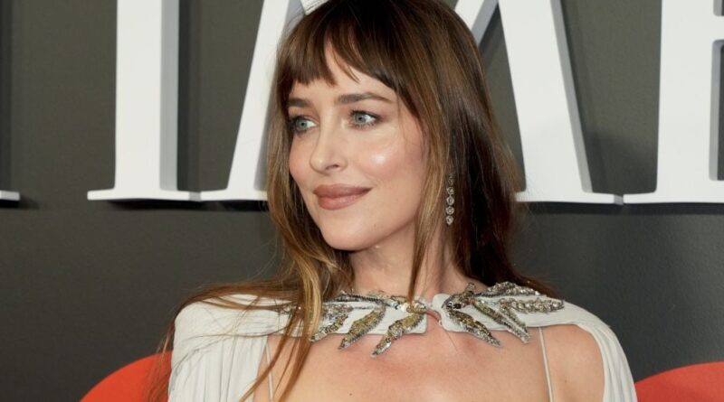 Dakota Johnson et Role Model se seraient séparés après quelques mois.