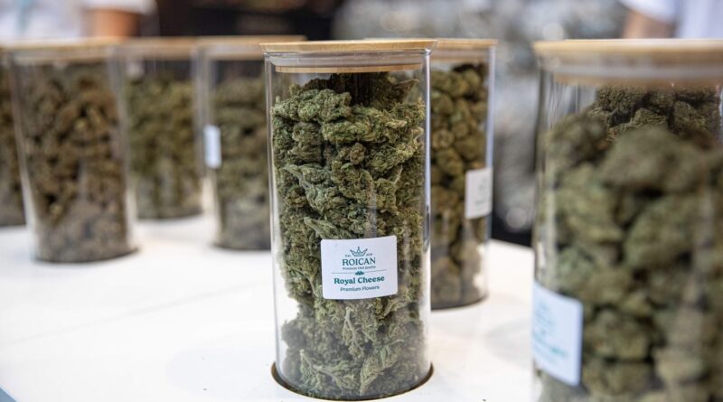 Des consommateurs alertent sur le CBC et le THCX, jamais vus avec le cannabis.