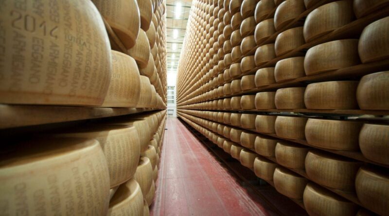 Dévaluation du Parmigiano : la canicule menace les « banques de fromage » en Italie