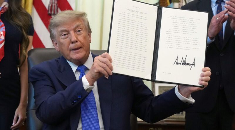 Donald Trump remet en question le calendrier vaccinal des enfants, inquiétude des spécialistes