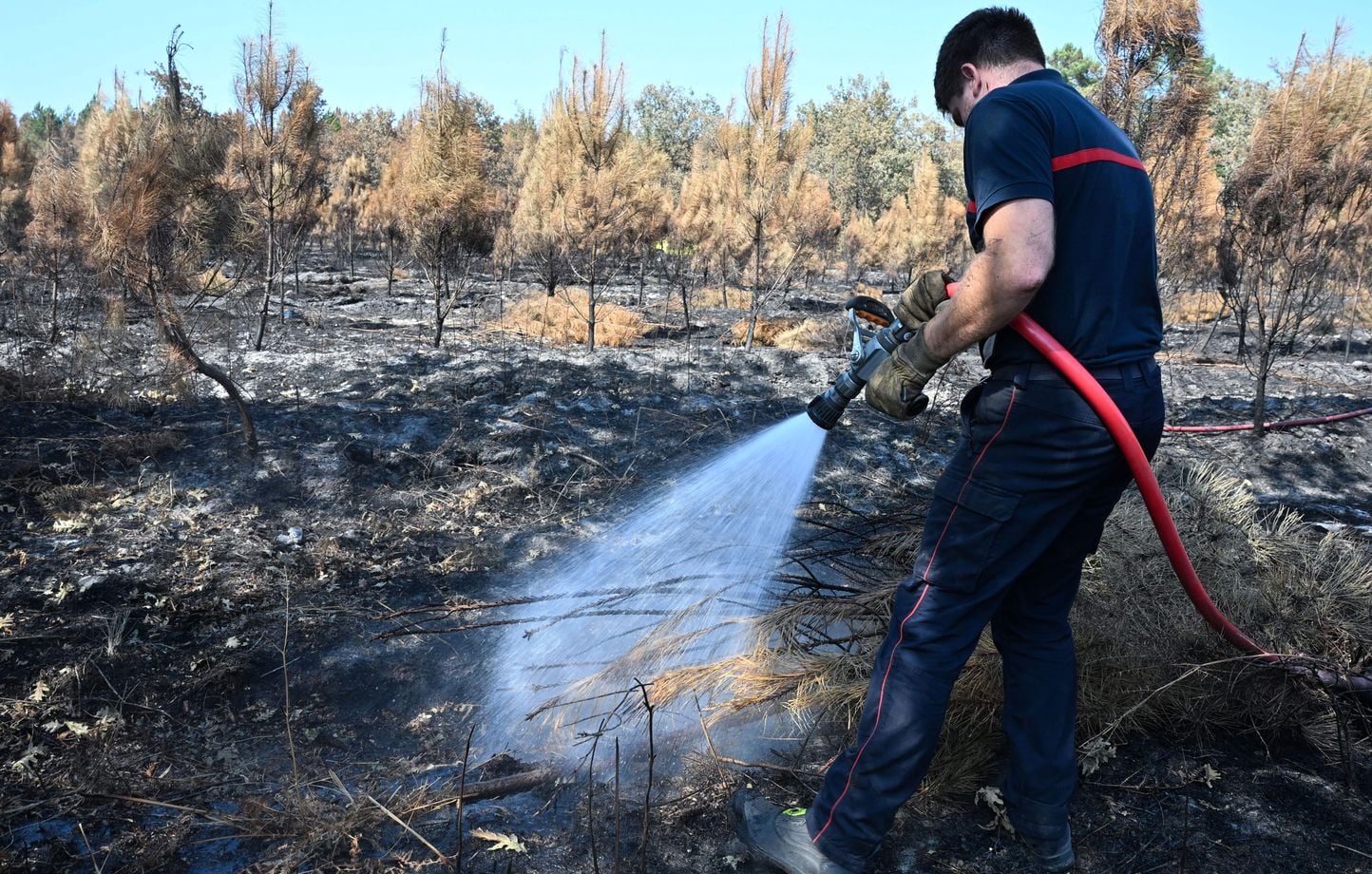 EN DIRECT Incendies : Lège-Cap-Ferret, réouverture de plusieurs campings autorisée.