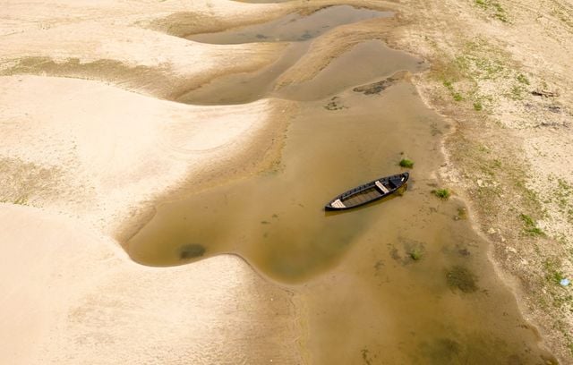 En images : L’Europe accablée par la chaleur, records de températures et fleuves au débit riquiqui.