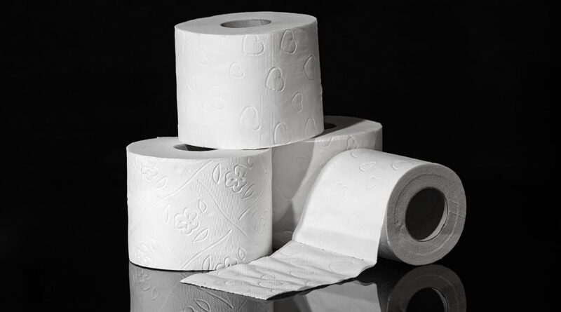 Espagne : Femme de chambre licenciée après trente ans pour vol de papier toilette