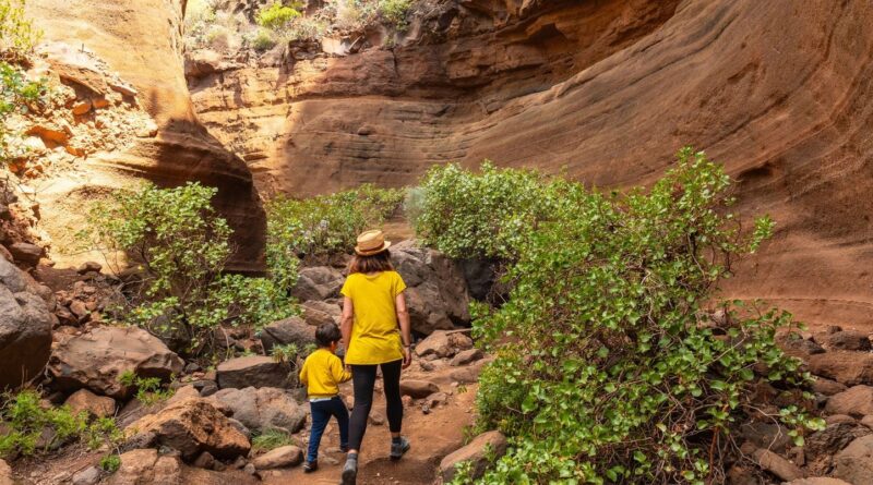 Etats-Unis : Un couple alcoolisé aurait fait marcher ses enfants sous 42 °C