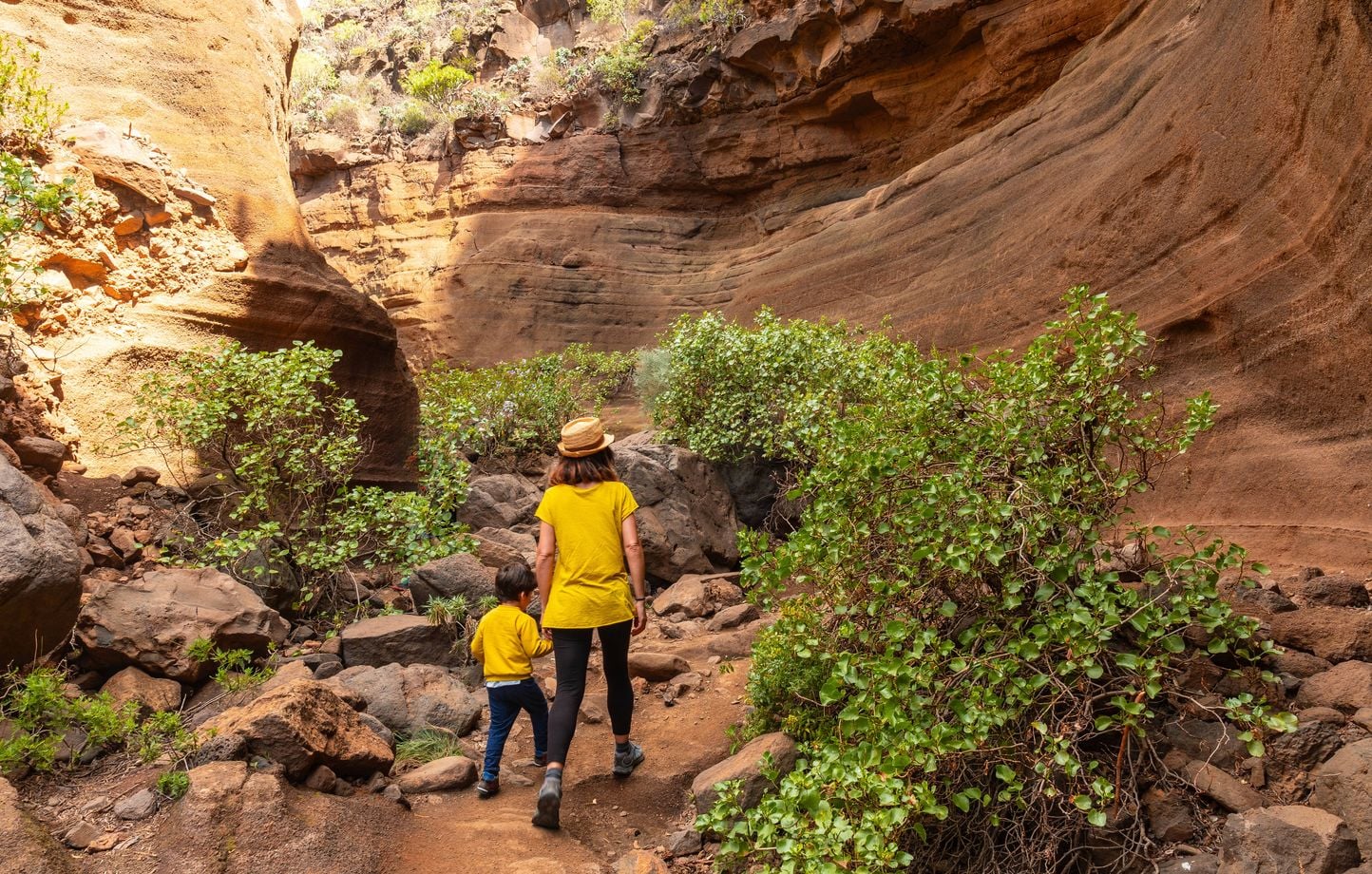 Etats-Unis : Un couple alcoolisé aurait fait marcher ses enfants sous 42 °C