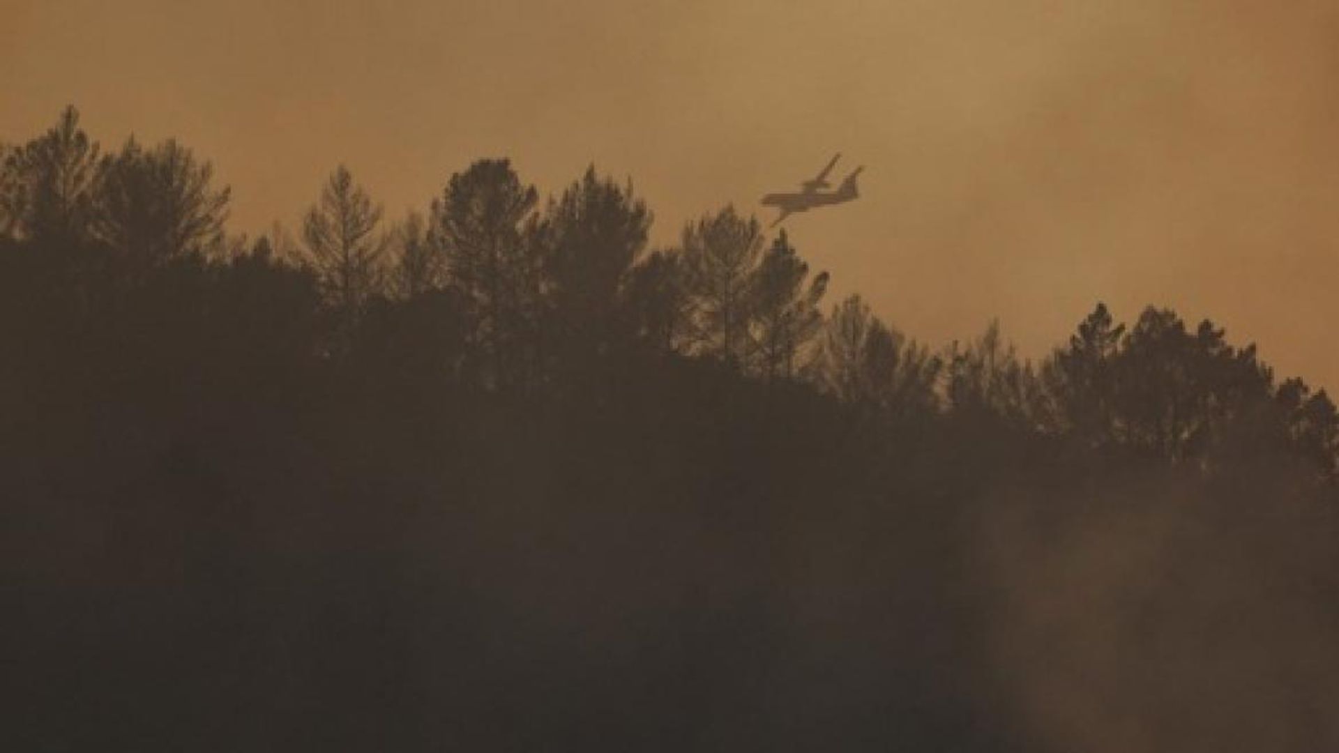 Feux de forêt en France : le Gros Bessillon, dans le Var, maîtrisé après 18 jours.