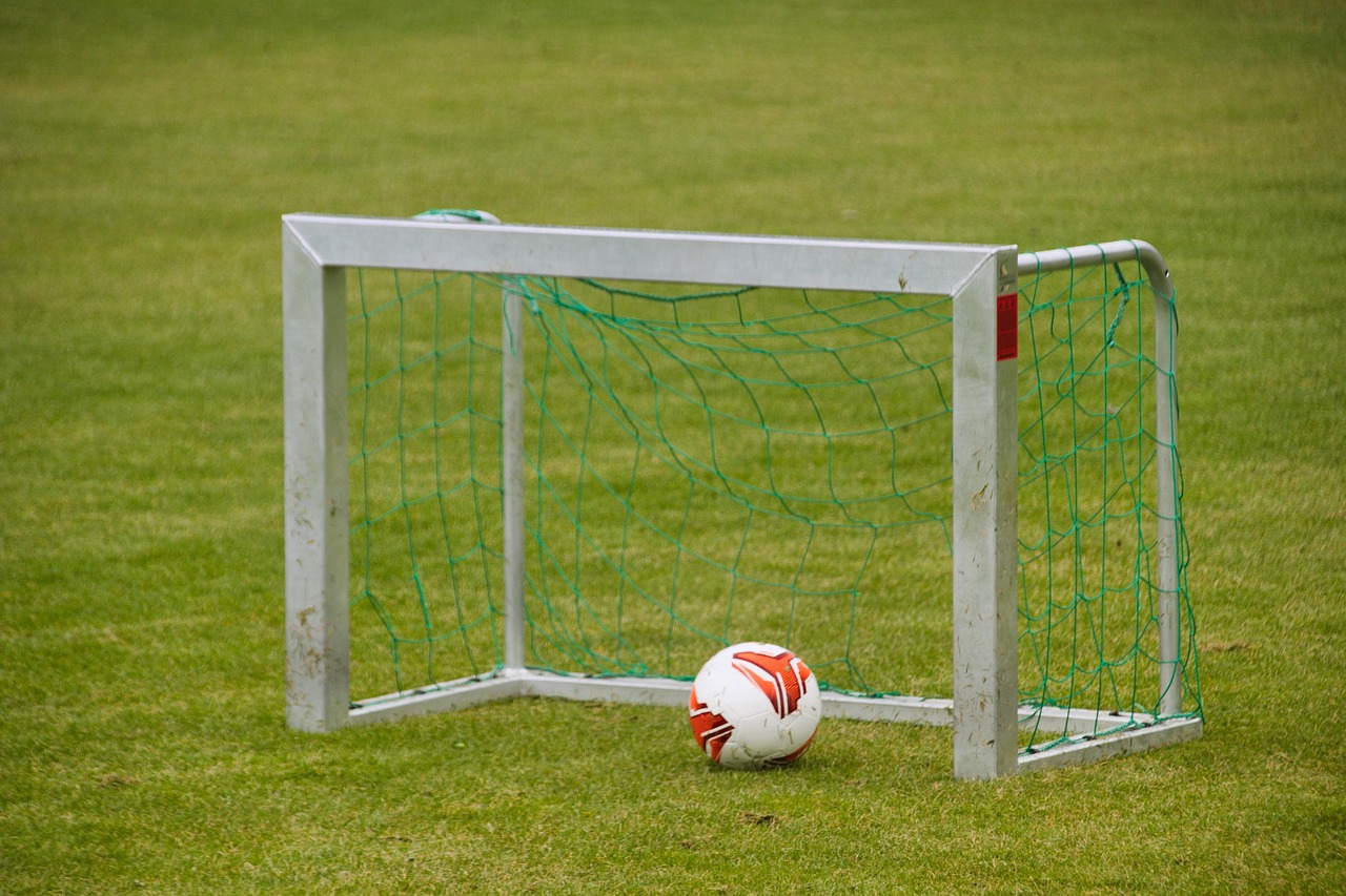 Football : Ils souhaitent également vendre la Coupe du monde