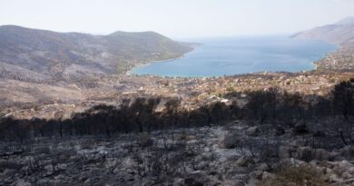 Grèce : Des vents violents ravivent les incendies aux alentours d’Athènes
