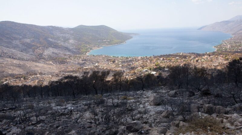 Grèce : Des vents violents ravivent les incendies aux alentours d’Athènes