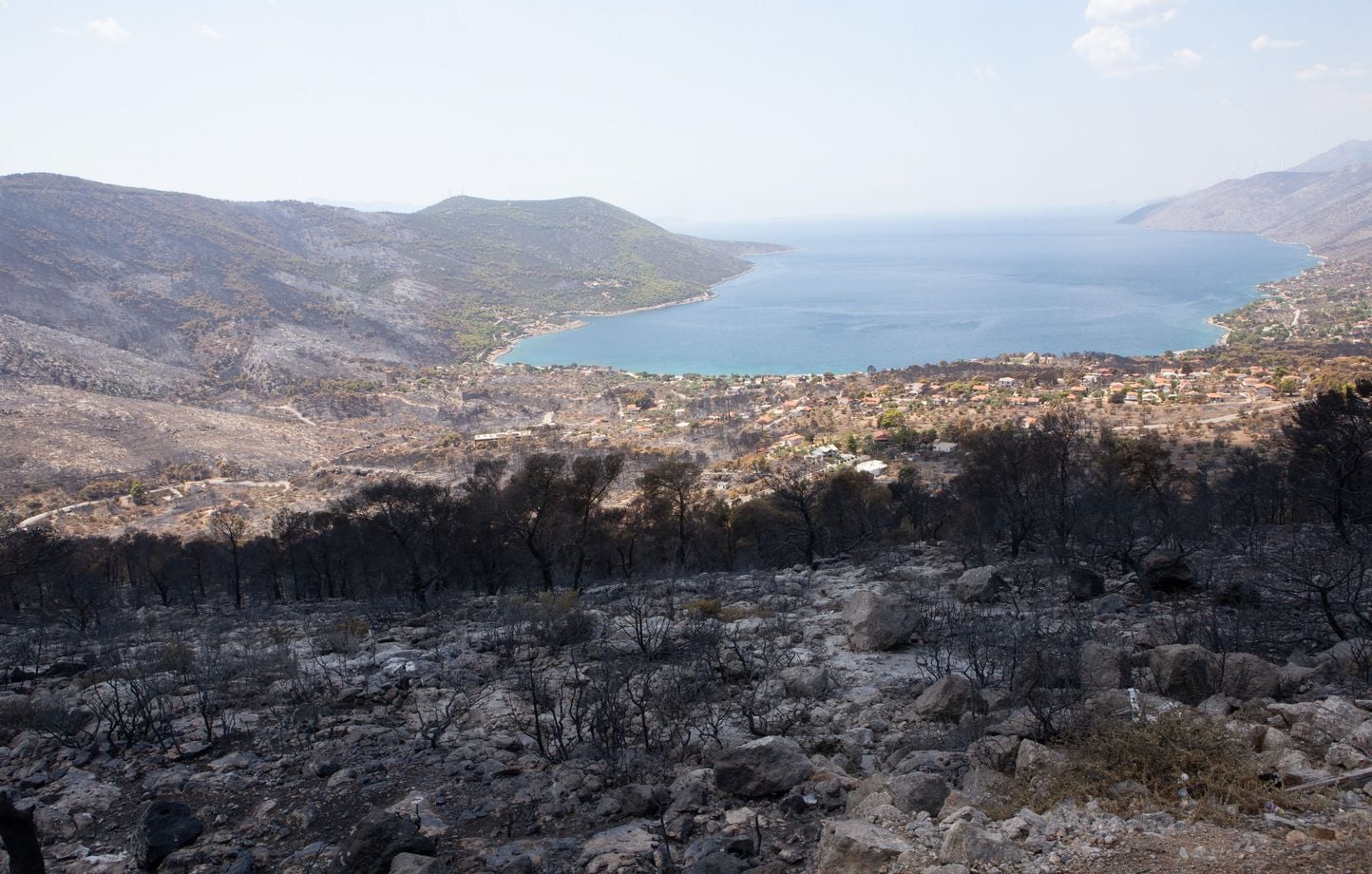Grèce : Des vents violents ravivent les incendies aux alentours d’Athènes