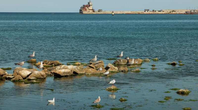 Guerre en Ukraine : La Turquie exaspérée par les attaques en mer Noire