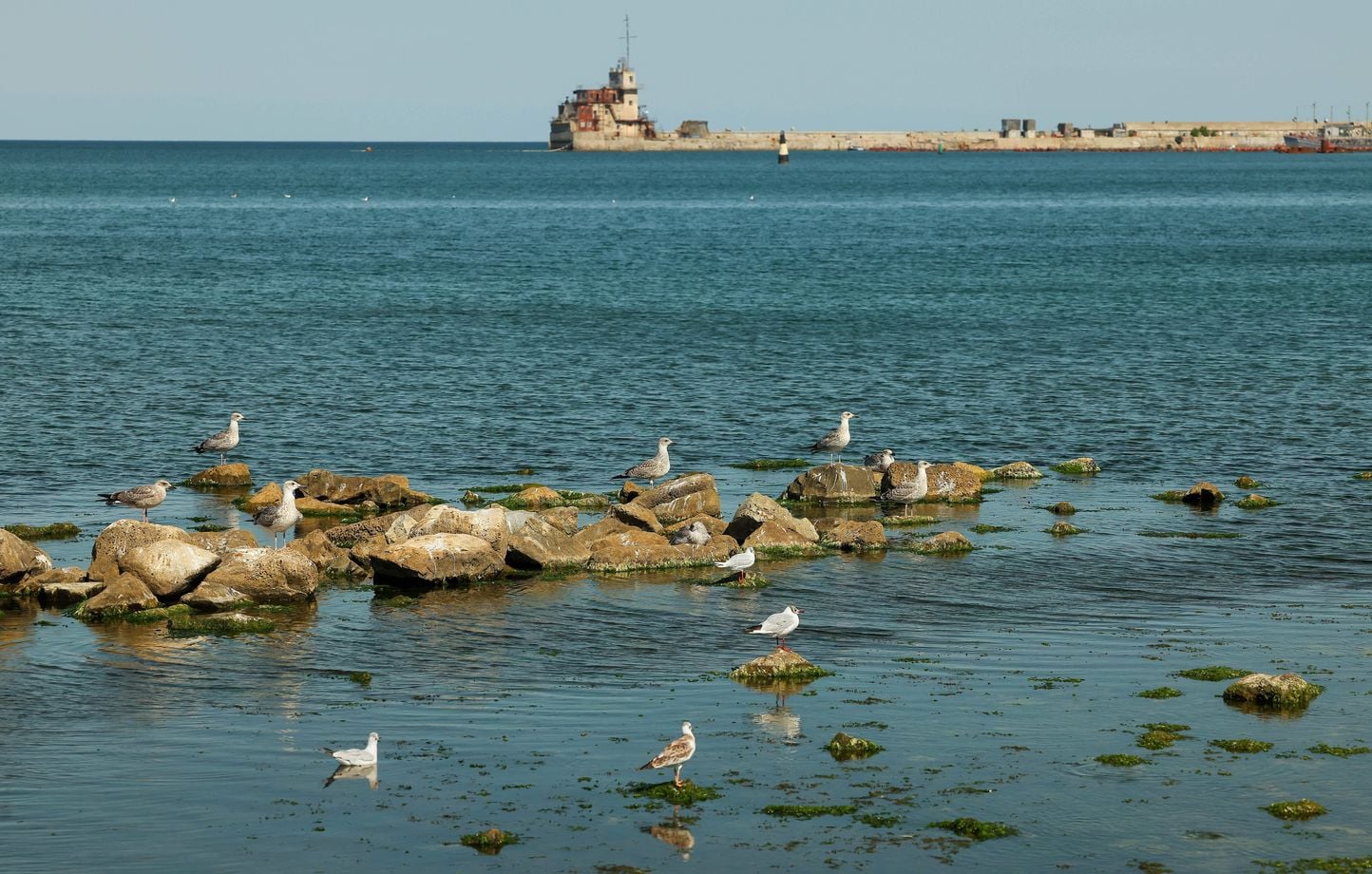 Guerre en Ukraine : La Turquie exaspérée par les attaques en mer Noire