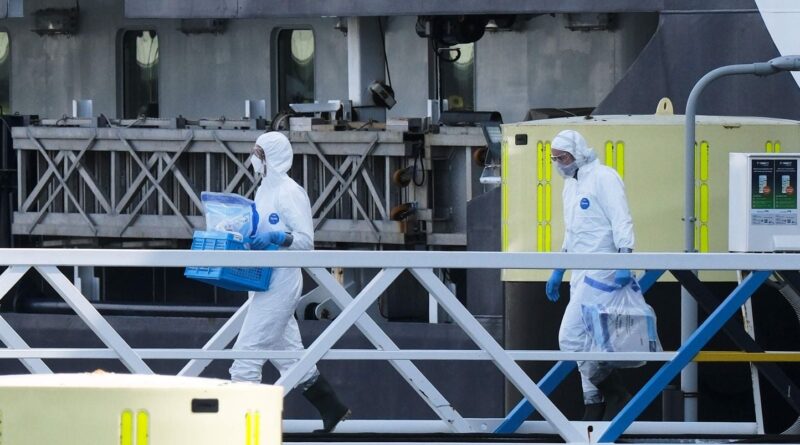 Hantavirus : La Française du MV Hondius sortie de réanimation après contamination au printemps