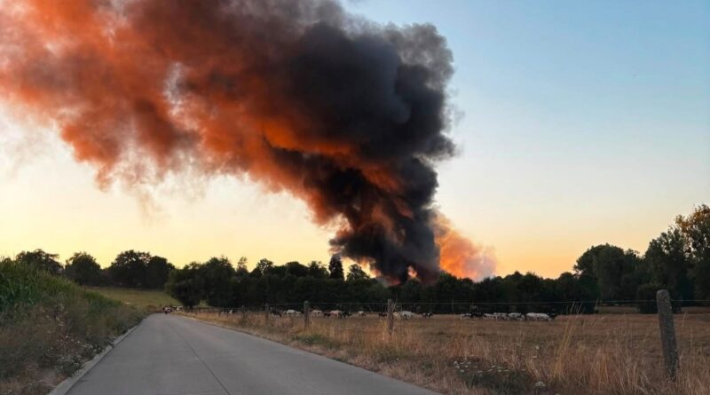 Incendie à Bonlez : deux granges touchées, animaux en sécurité