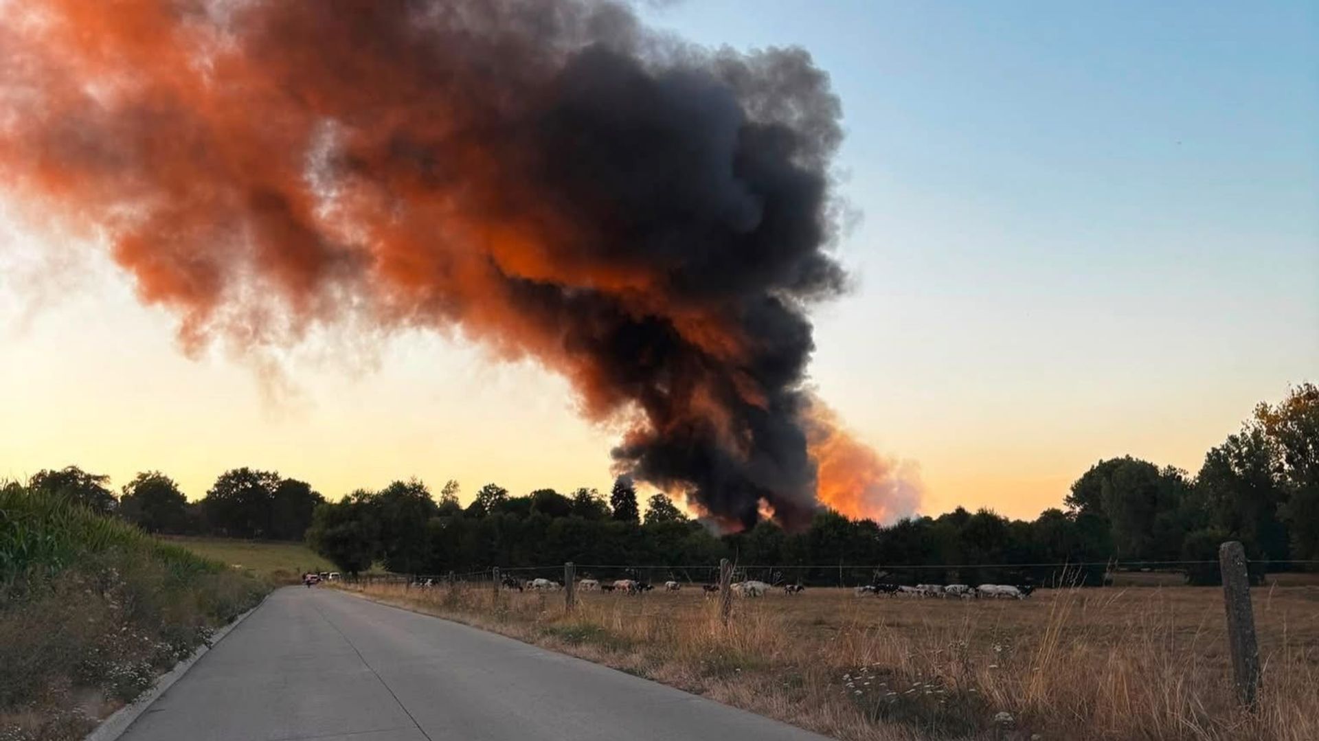 Photo: 1001infos.net Farm Fire in Bonlez: Two Barns Destroyed, Animals Safe