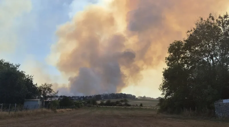 Incendie à Wellin : la cellule de crise levée, pompiers en action