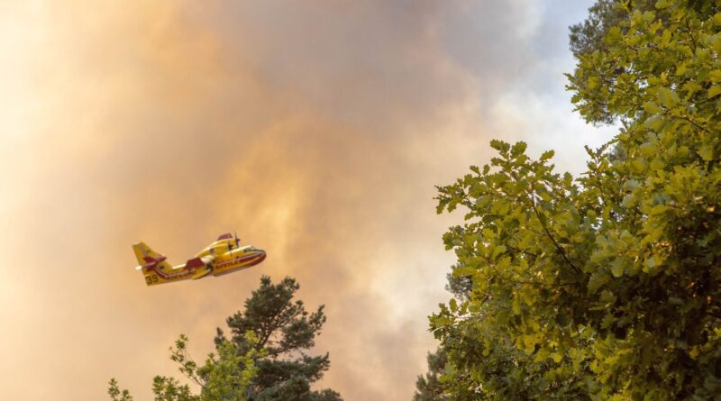 Incendie dans la Drôme : 370 hectares brûlés, quatre pompiers blessés