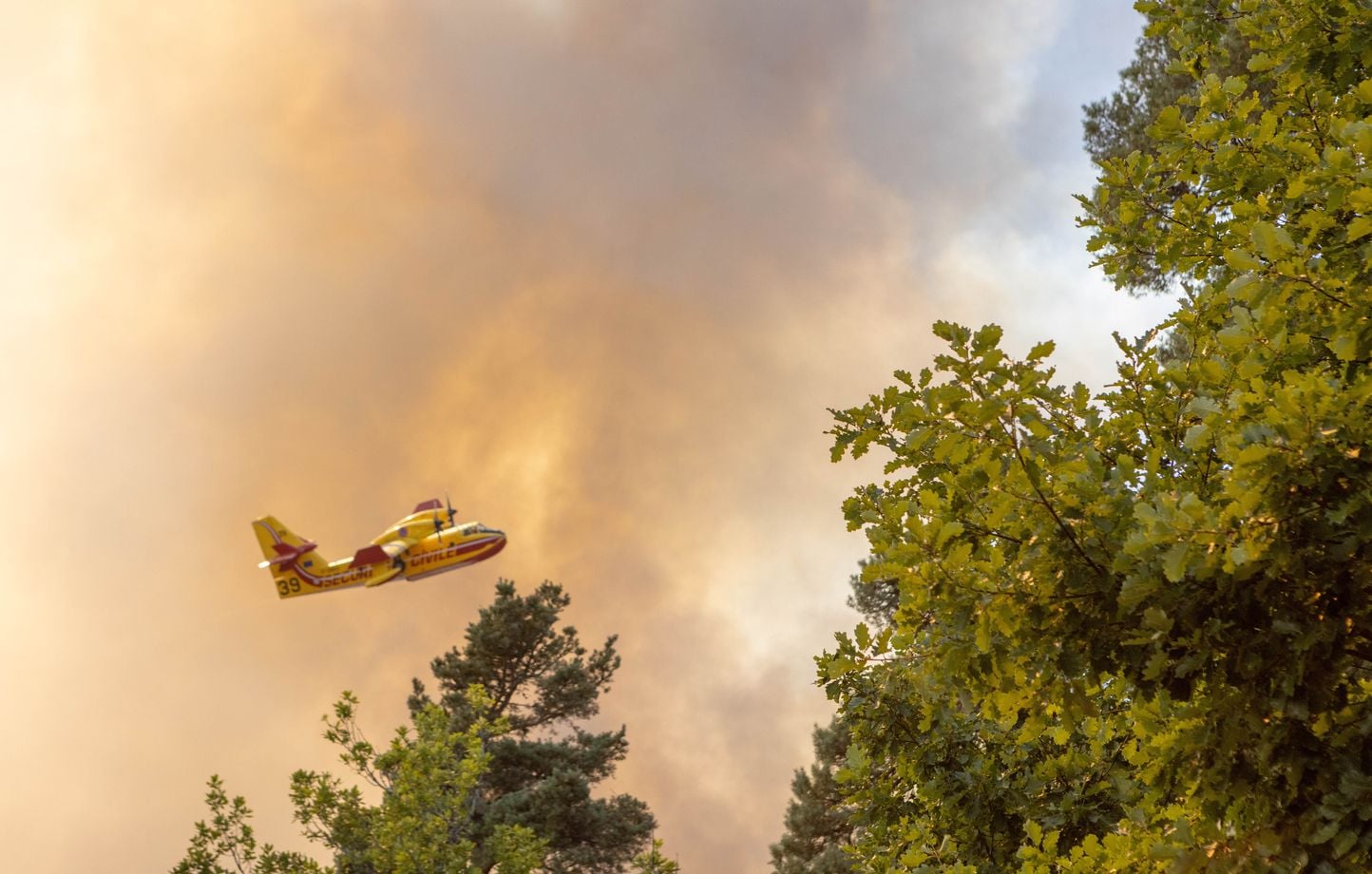 Incendie dans la Drôme : 370 hectares brûlés, quatre pompiers blessés