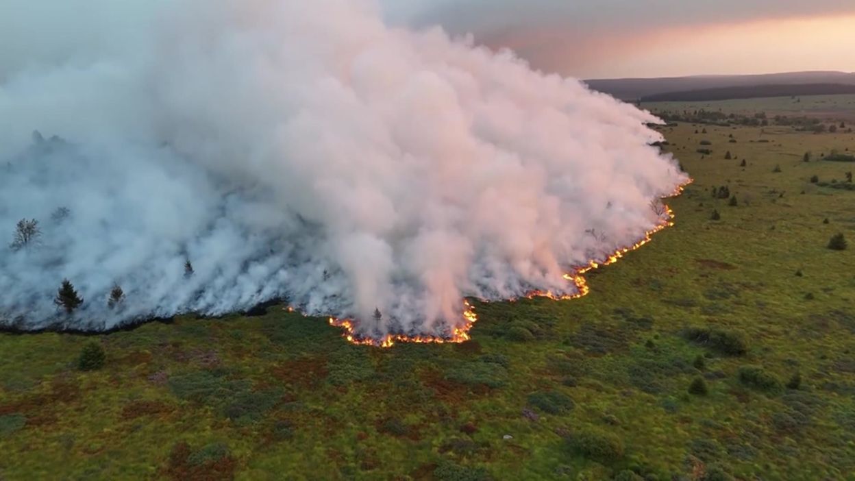 Incendie dans les Fagnes : 1600 hectares brûlés, situation alarmante