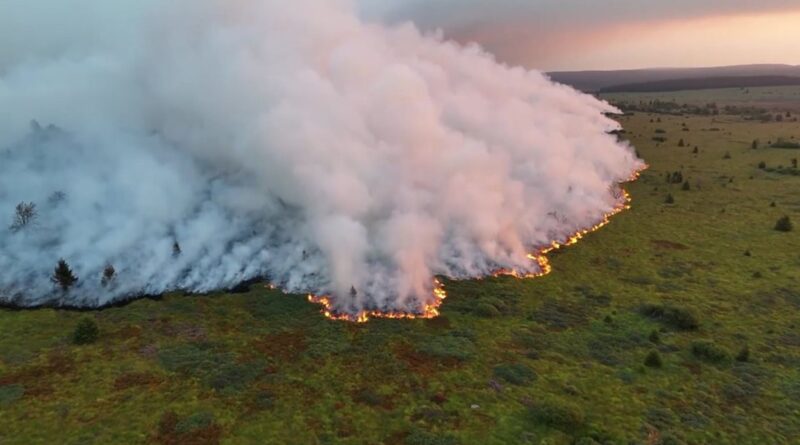 Incendie dans les Fagnes : 2000 hectares brûlés, fumée sur la région.