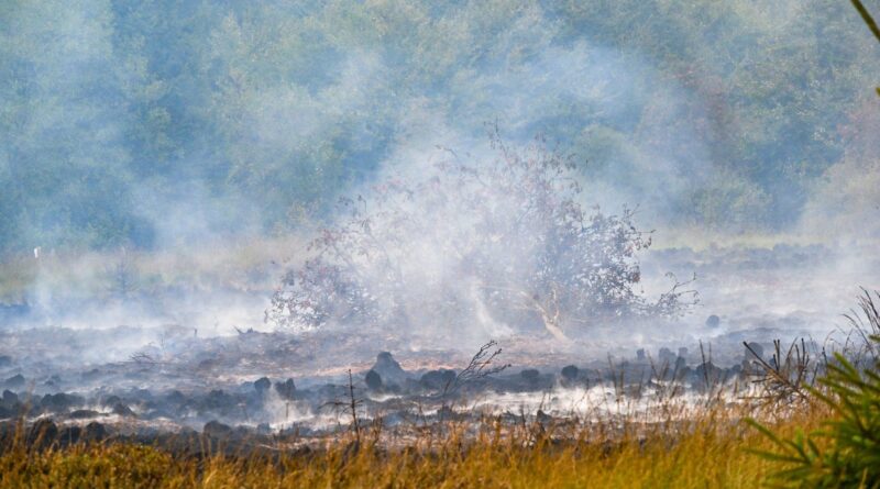 Incendie dans les Fagnes : enquête du parquet de Liège sur l'origine du feu