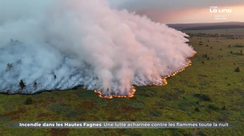 Incendie dans les Fagnes : évacuation des habitants de Sourbrodt (Waimes) face aux fumées