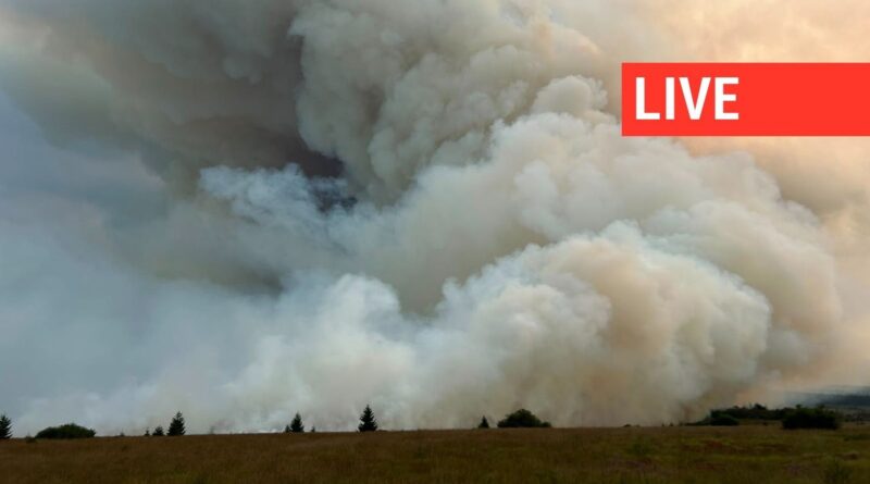 Incendie dans les Fagnes : l'armée déploie trois véhicules Panther.