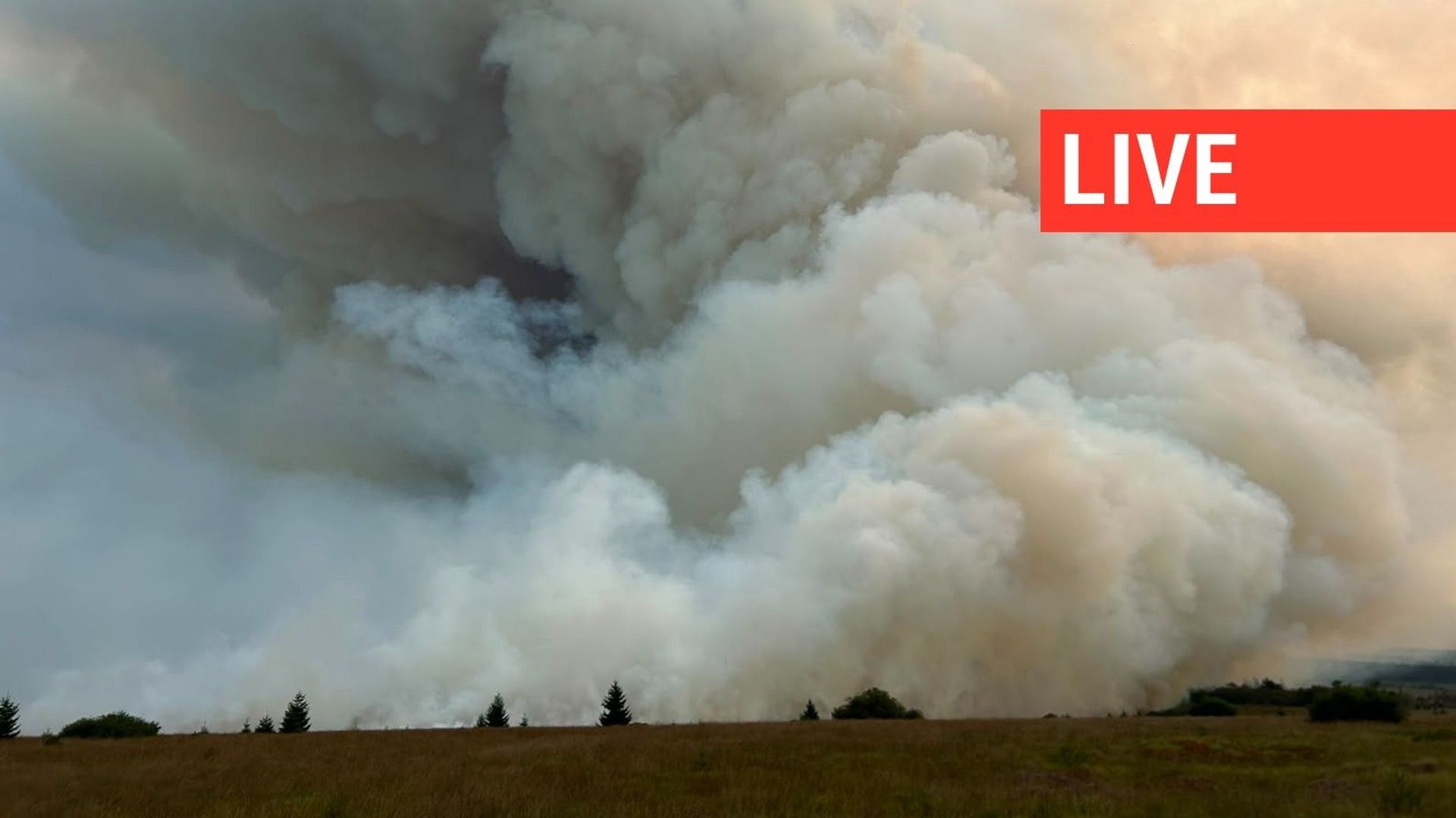 Incendie dans les Fagnes : l'armée déploie trois véhicules Panther.