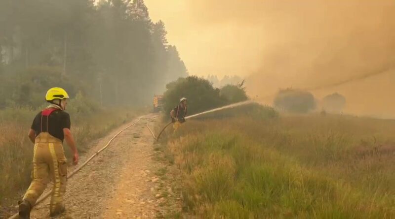 Incendie dans les Fagnes : les pompiers attaquent le feu pour la deuxième nuit