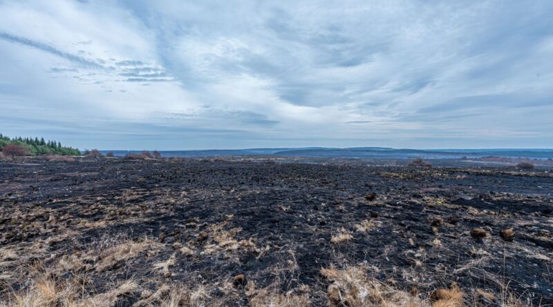 Incendie dans les Fagnes : mobilisation de renforts internationaux à nouveau