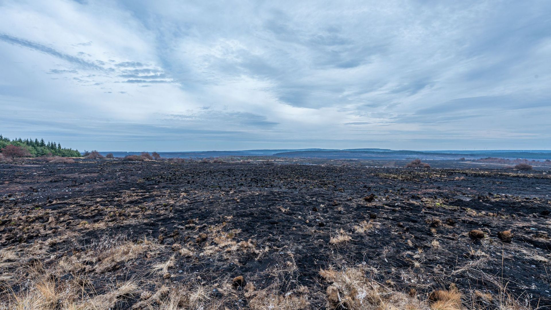 Incendie dans les Fagnes : mobilisation de renforts internationaux à nouveau