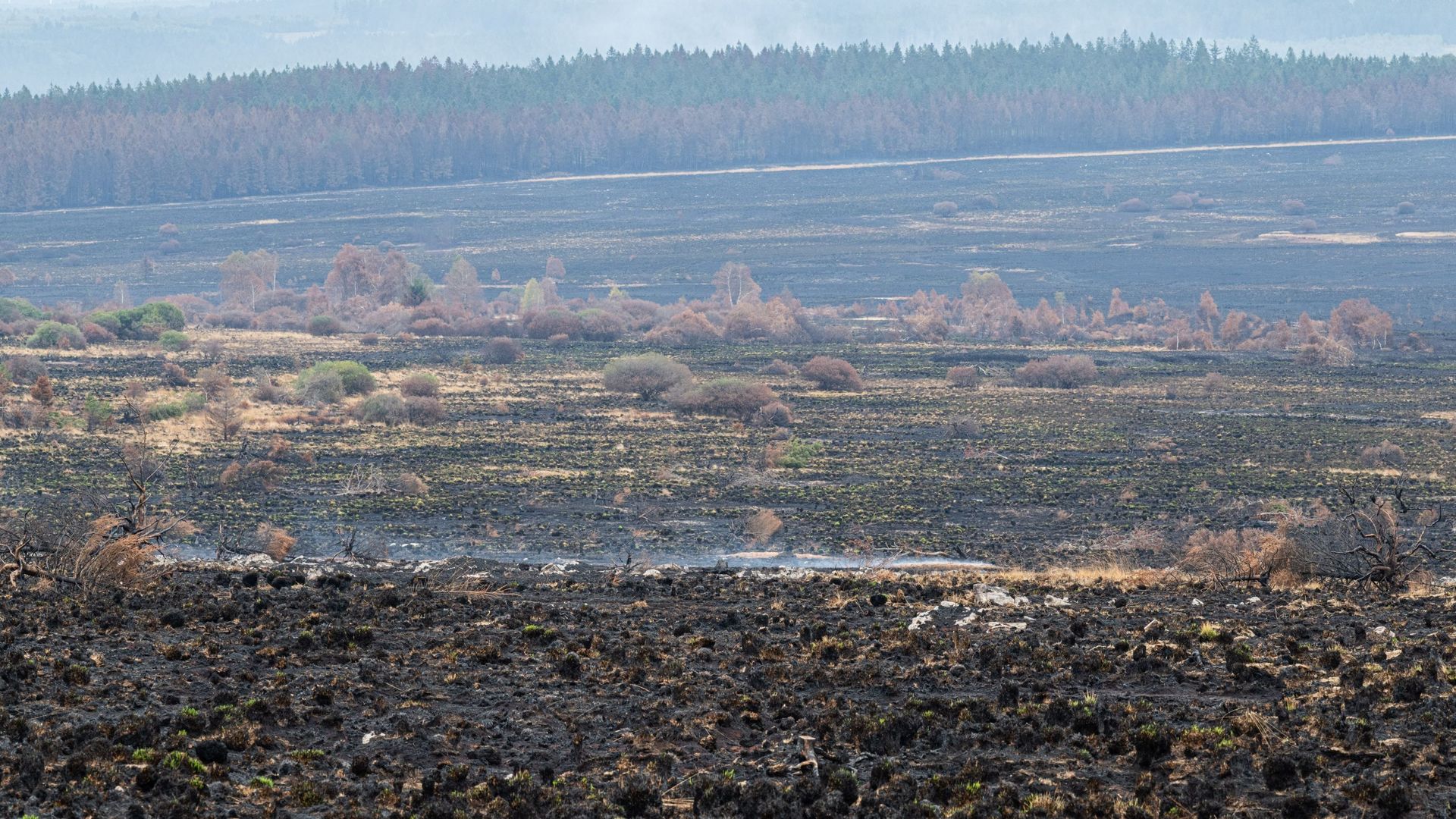 Incendie dans les Fagnes : origine du feu liée à un engin agricole ?
