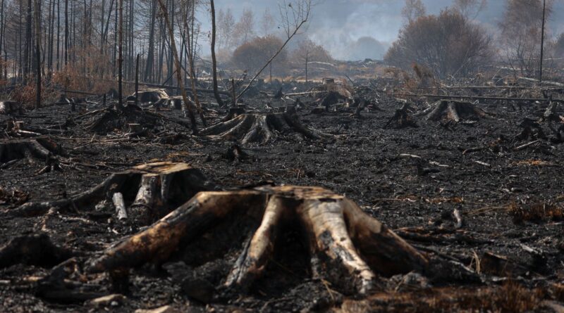 Incendie dans les Fagnes : reprises de feu et fumée persistante cette nuit