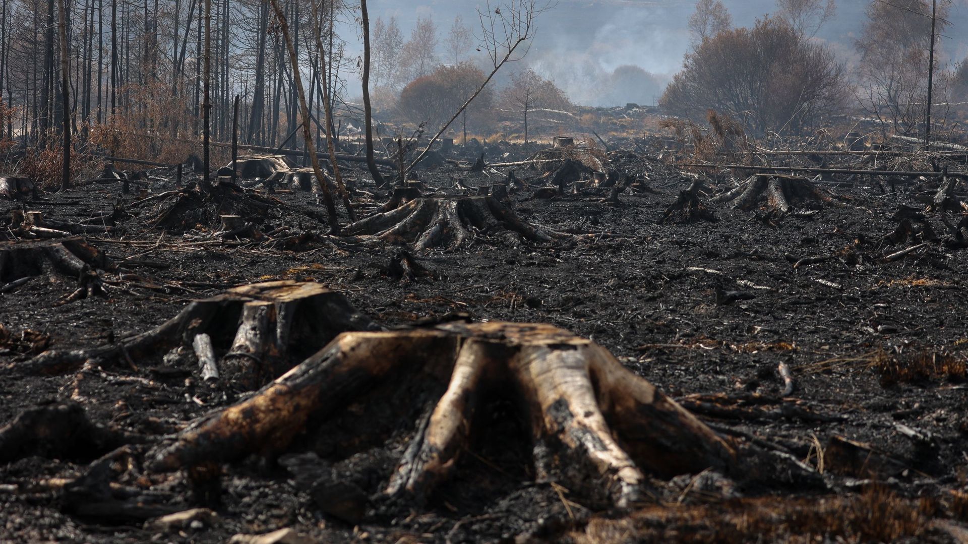 Incendie dans les Fagnes : reprises de feu et fumée persistante cette nuit