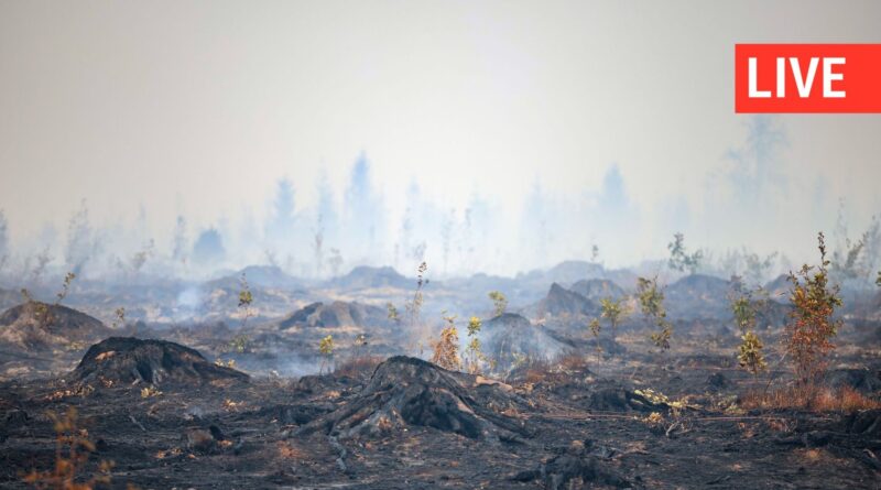 Incendie dans les Hautes Fagnes : 3.000 hectares brûlés, opérations en cours