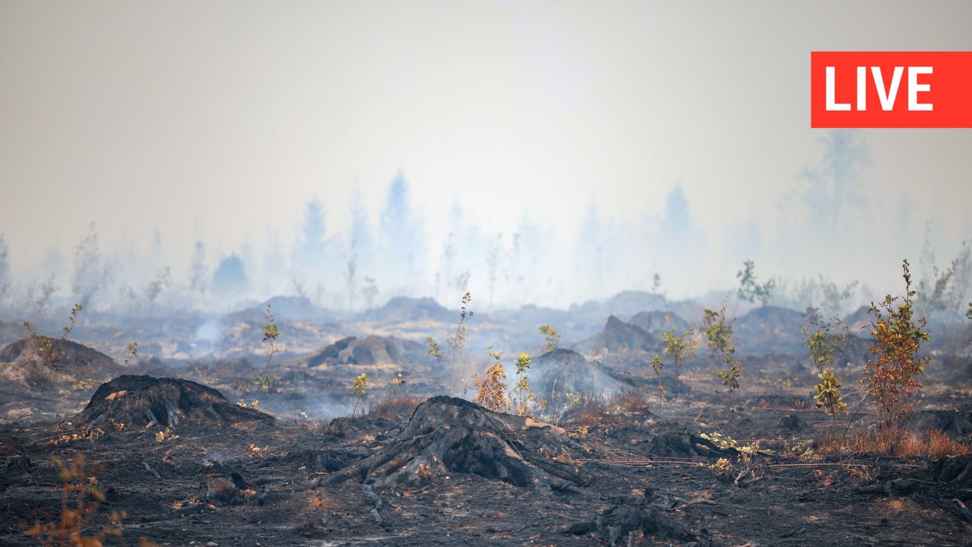 Incendie dans les Hautes Fagnes : 3.000 hectares brûlés, opérations en cours
