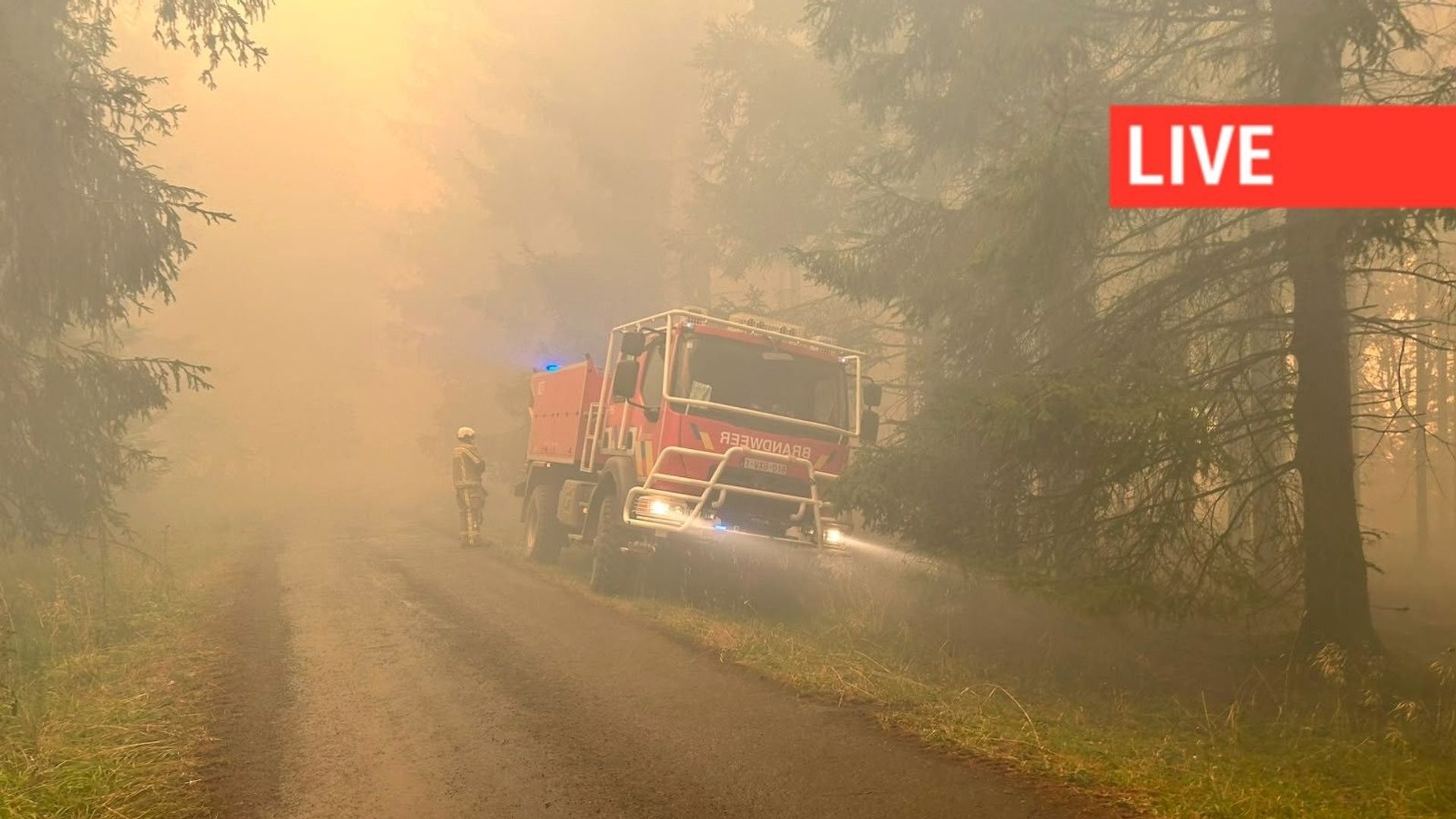 Incendie dans les Hautes Fagnes : Chinook en action, fronts de Jalhay et Montjoie contrôlés, pollution en Lorraine