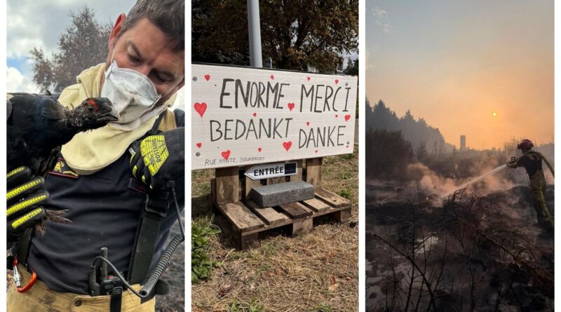 Incendie dans les Hautes Fagnes : feu contrôlé, surveillance planifiée, tétras-lyre sauvé