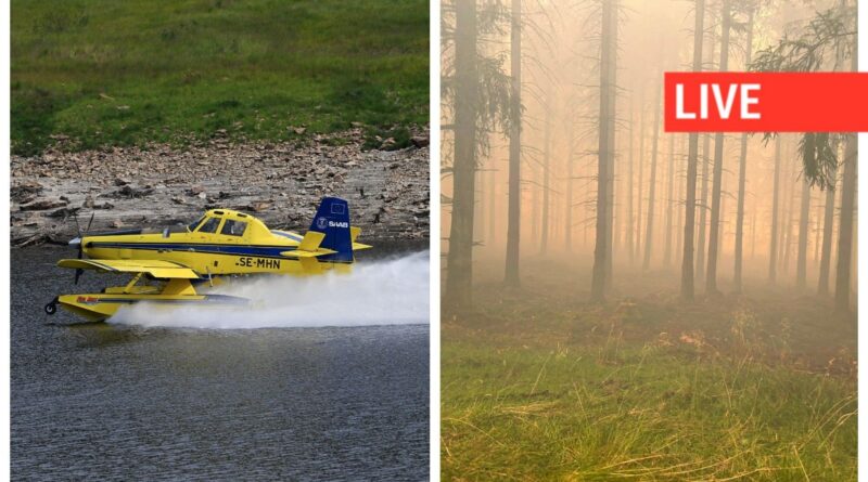 Incendie dans les Hautes Fagnes : fronts de Jalhay et Montjoie contrôlés, pollution en Lorraine
