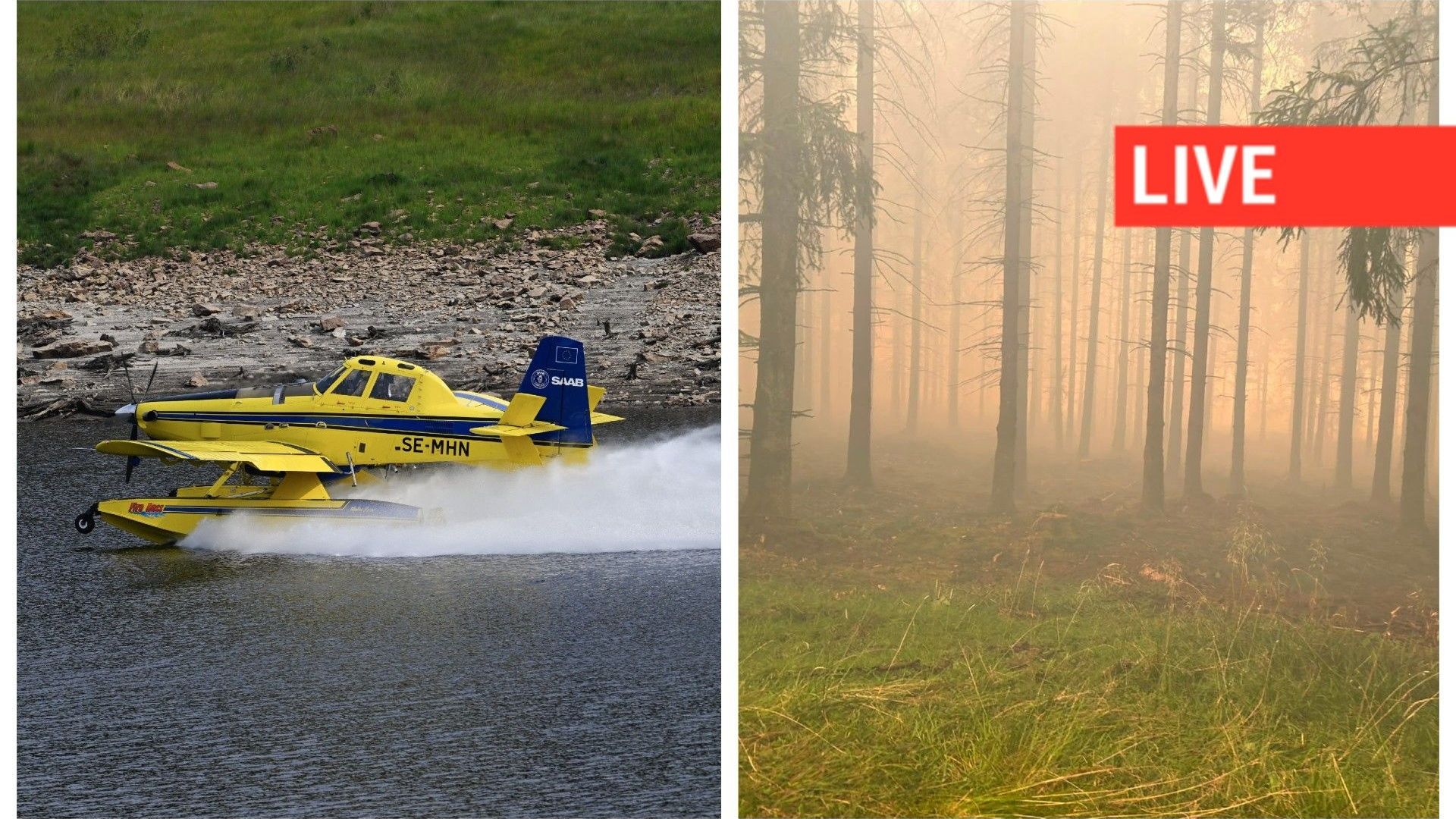 Incendie dans les Hautes Fagnes : fronts de Jalhay et Montjoie contrôlés, pollution en Lorraine