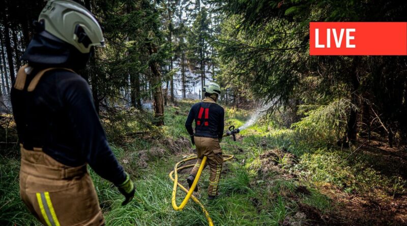 Incendie dans les Hautes Fagnes : pompiers en conditions difficiles, zone nord impraticable.