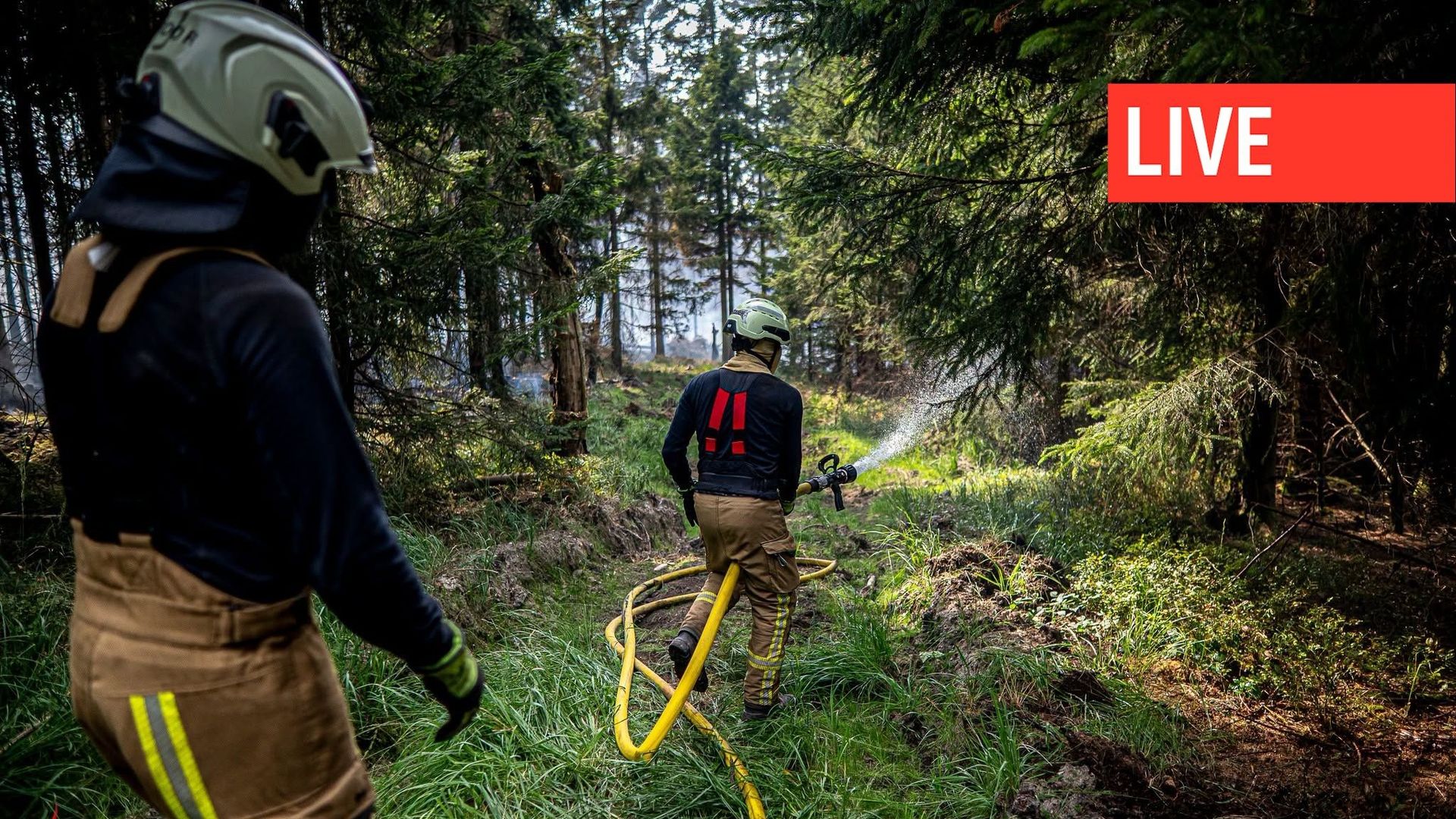 Incendie dans les Hautes Fagnes : pompiers en conditions difficiles, zone nord impraticable.