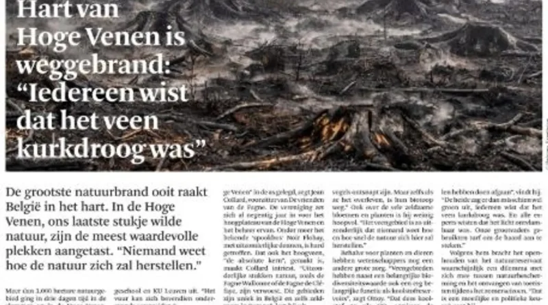 Incendie dans les Hautes Fagnes : questions déjà soulevées dans la revue de presse